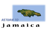 Return to Jamaica