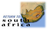 Return to South Africa